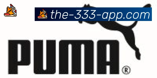 333体育合作伙伴